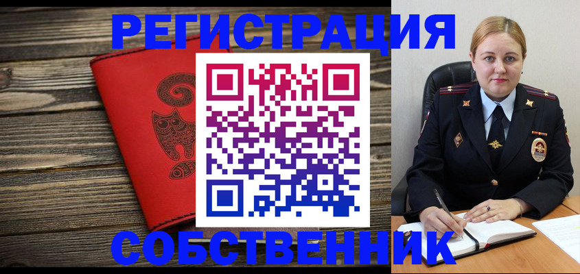 временная регистрация в Благовещенске